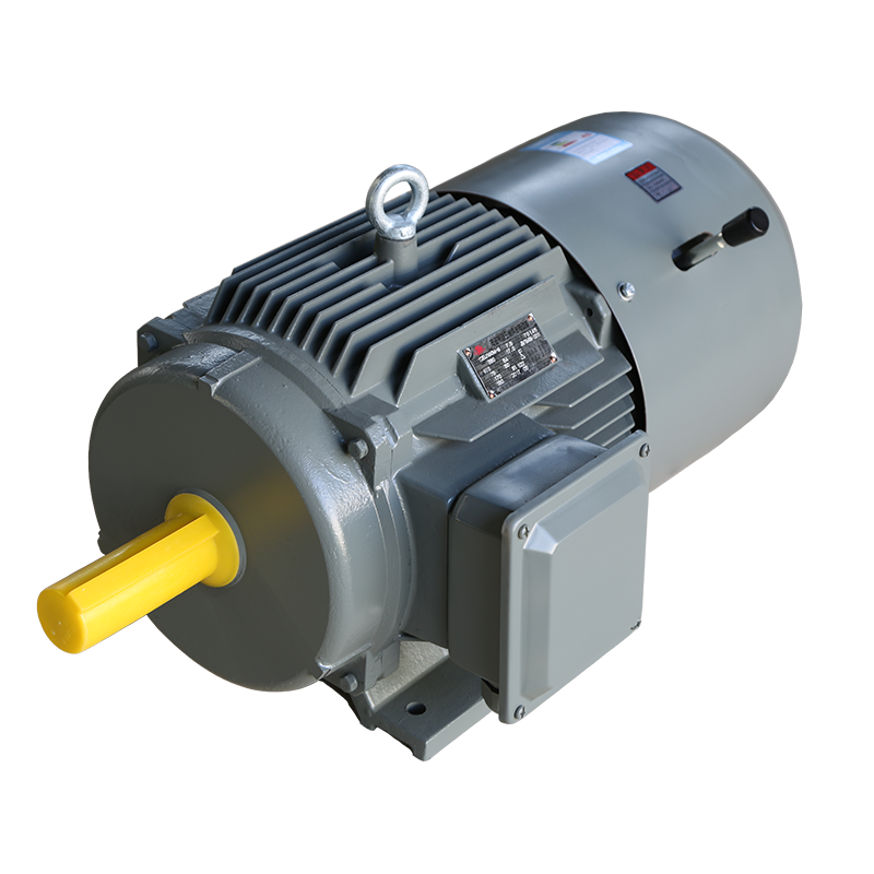 YEJ系列電磁制動三相異步電動機